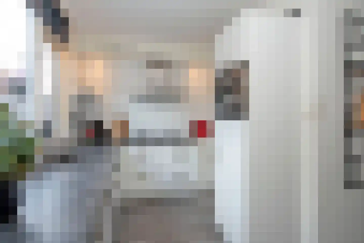 Charlotte Köhlerstraat 67 Hengelo thumbnail 8