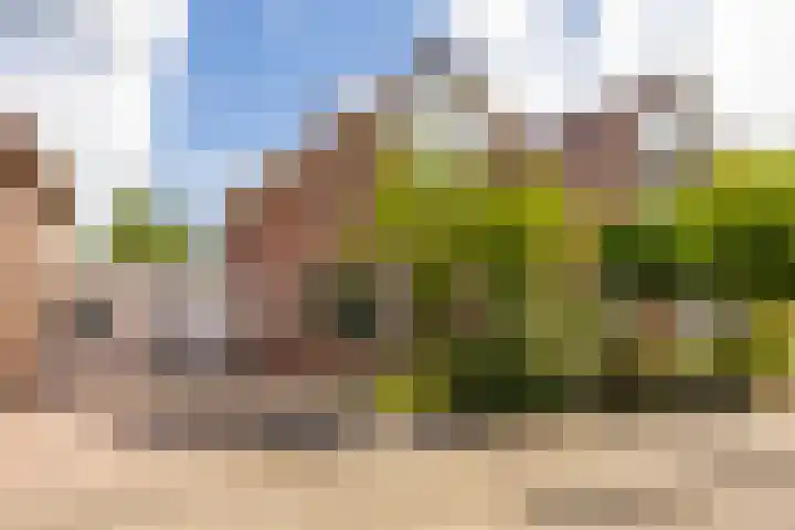 Charlotte Köhlerstraat 73 Hengelo thumbnail 6