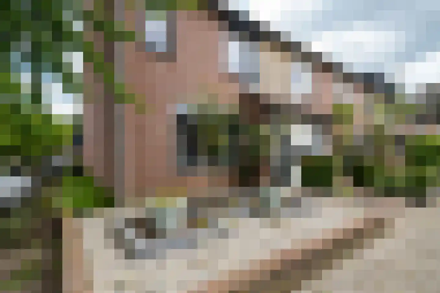 Charlotte Köhlerstraat 91 Hengelo thumbnail 38