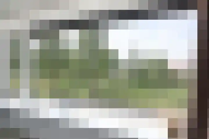 Charlotte Köhlertuin 37 Heerhugowaard thumbnail 20