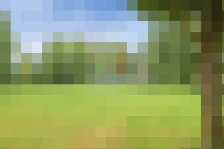 Charlotte Köhlertuin 37 Heerhugowaard thumbnail 33