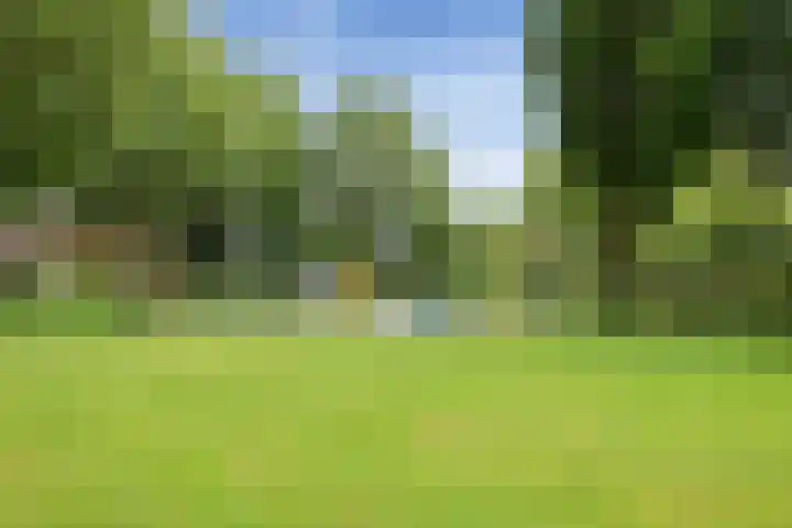 Charlotte Köhlertuin 37 Heerhugowaard thumbnail 34