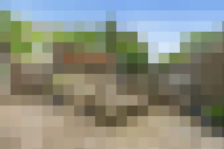 Charlotte Köhlertuin 37 Heerhugowaard thumbnail 4