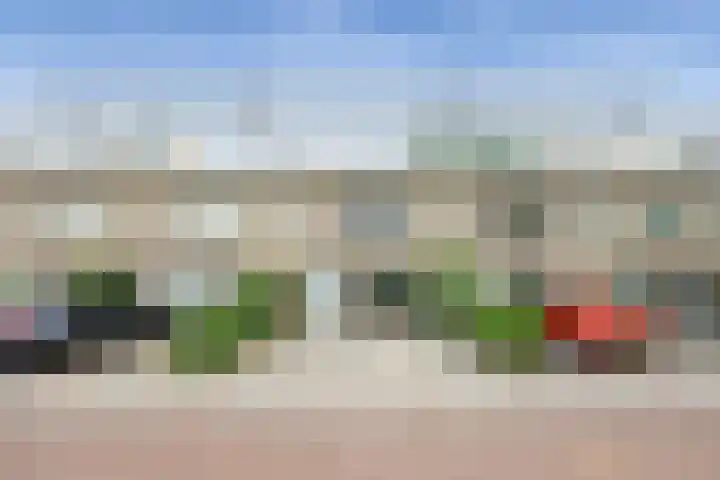 Charlotte Köhlertuin 37 Heerhugowaard thumbnail 5