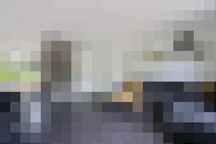 Charlotte Köhlertuin 37 Heerhugowaard thumbnail 7