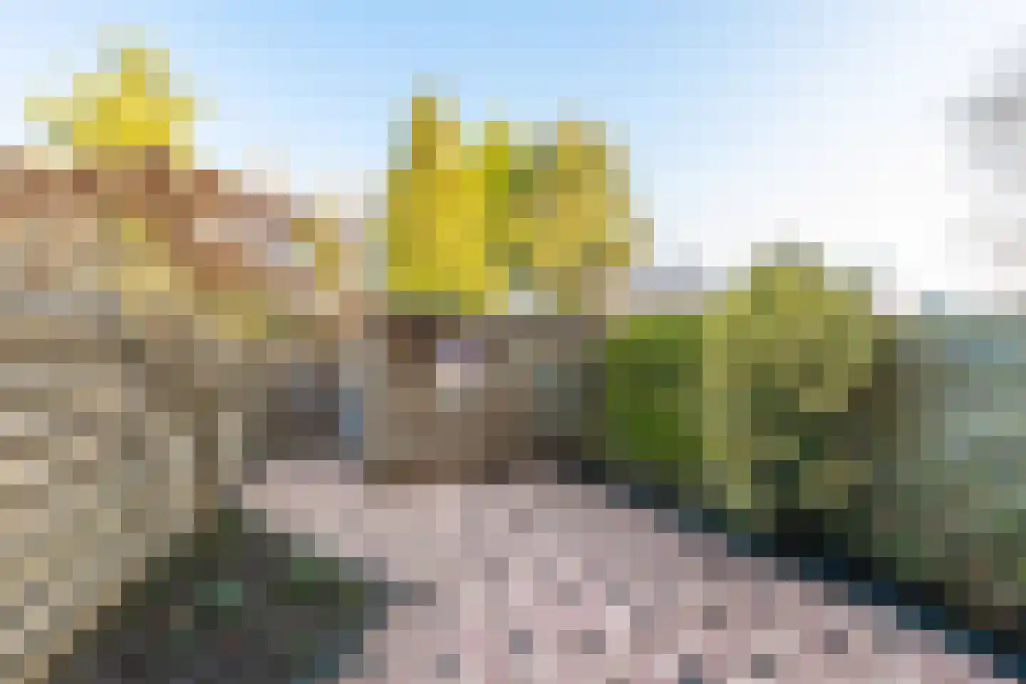 Charlotte Köhlertuin 41 Heerhugowaard thumbnail 35