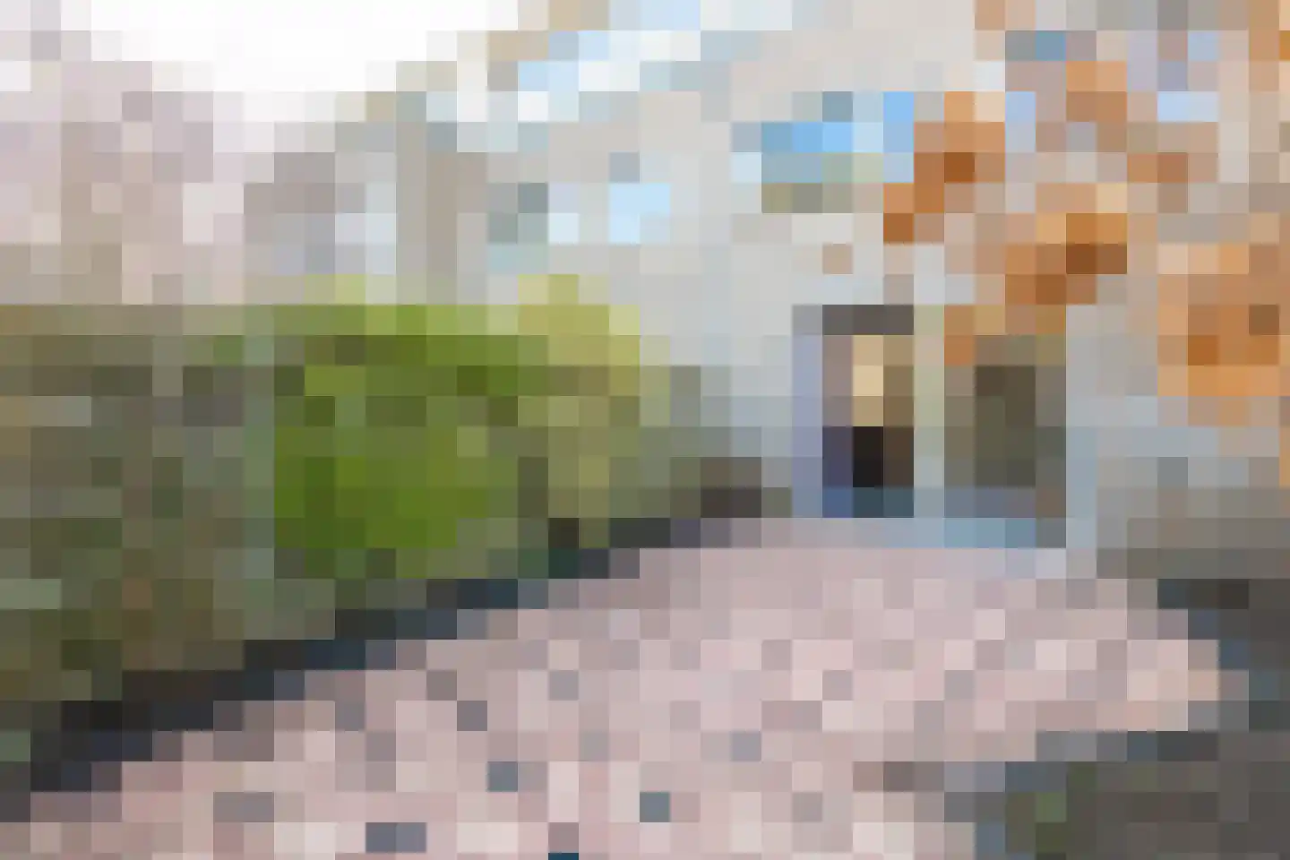 Charlotte Köhlertuin 41 Heerhugowaard thumbnail 37