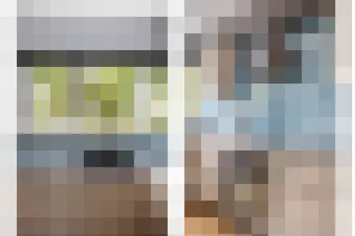 Charlotte Köhlertuin 49 Heerhugowaard thumbnail 10