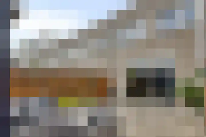 Charlotte Köhlertuin 49 Heerhugowaard thumbnail 14