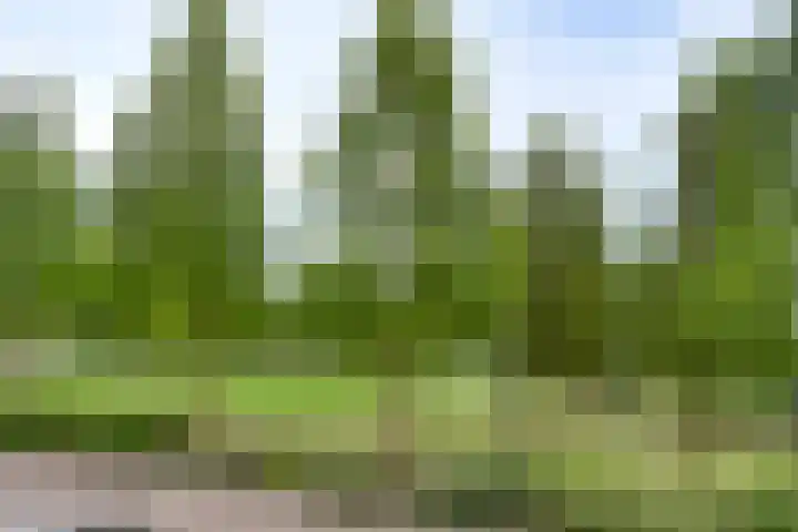 Charlotte Köhlertuin 49 Heerhugowaard thumbnail 25