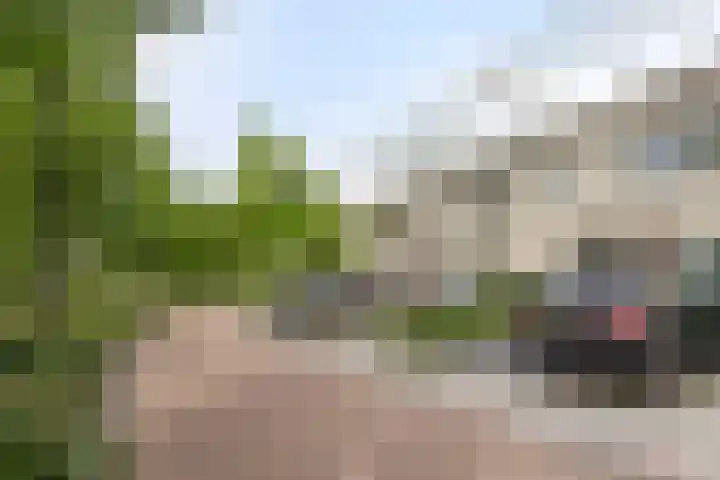 Charlotte Köhlertuin 49 Heerhugowaard thumbnail 26