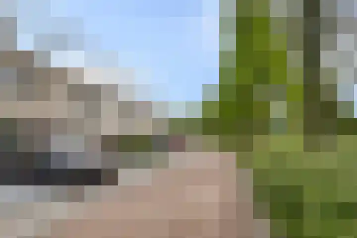 Charlotte Köhlertuin 49 Heerhugowaard thumbnail 27