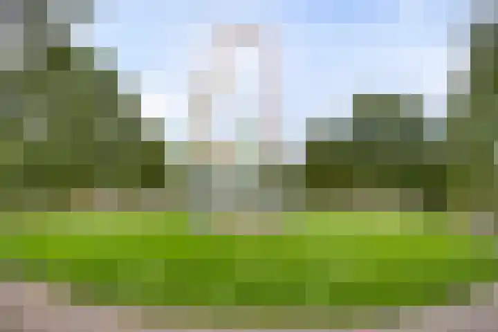 Charlotte Köhlertuin 49 Heerhugowaard thumbnail 29