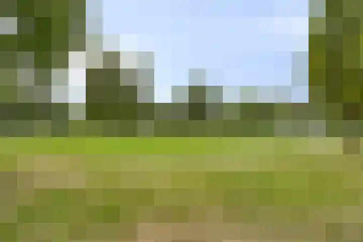 Charlotte Köhlertuin 49 Heerhugowaard thumbnail 30
