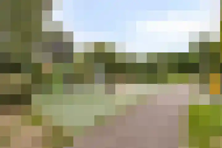 Charlotte Köhlertuin 49 Heerhugowaard thumbnail 31