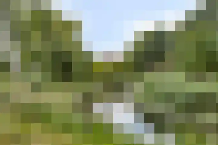 Charlotte Köhlertuin 49 Heerhugowaard thumbnail 32