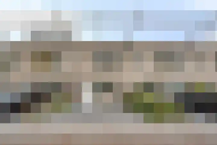 Charlotte Köhlertuin 49 Heerhugowaard thumbnail 5
