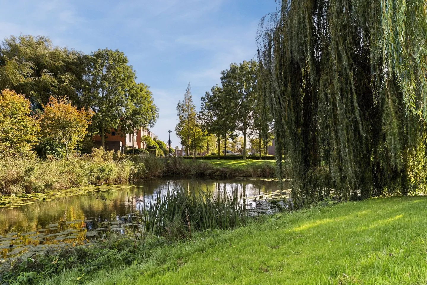 Charlotte Köhlertuin 49 Heerhugowaard thumbnail 54