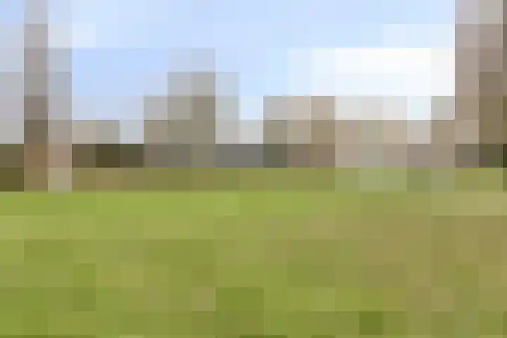 Charlotte Köhlertuin 51 Heerhugowaard thumbnail 34