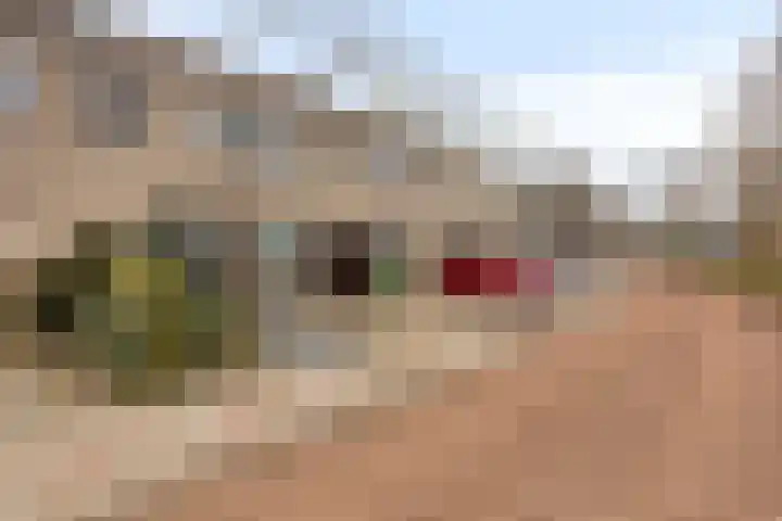 Charlotte Köhlertuin 51 Heerhugowaard thumbnail 8