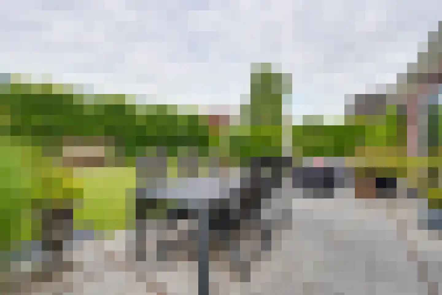 Charlotte Ruysplantsoen 16 Heerhugowaard thumbnail 25
