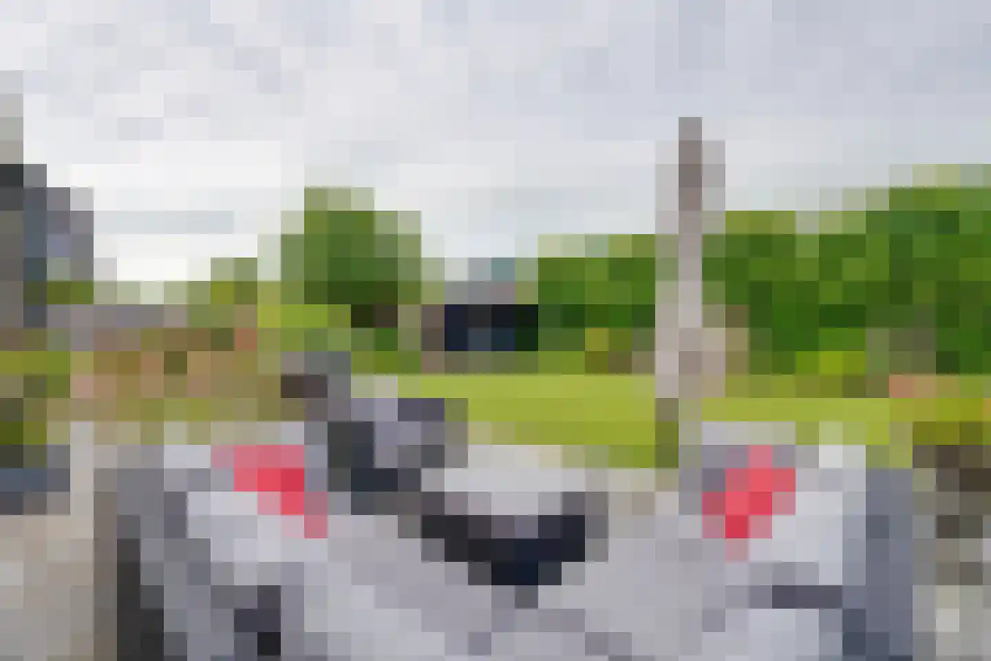 Charlotte Ruysplantsoen 16 Heerhugowaard thumbnail 26