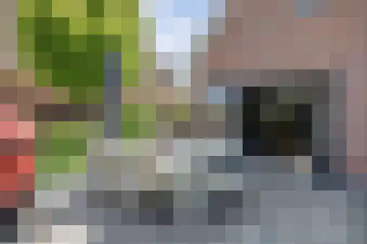 Charlotte Ruysplantsoen 9 Heerhugowaard thumbnail 47