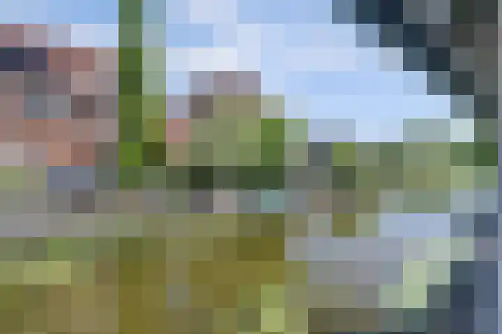 Charlotte Ruysplantsoen 9 Heerhugowaard thumbnail 54