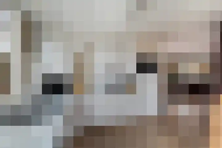 Charlotte Salomonlaan 1 Pijnacker thumbnail 13