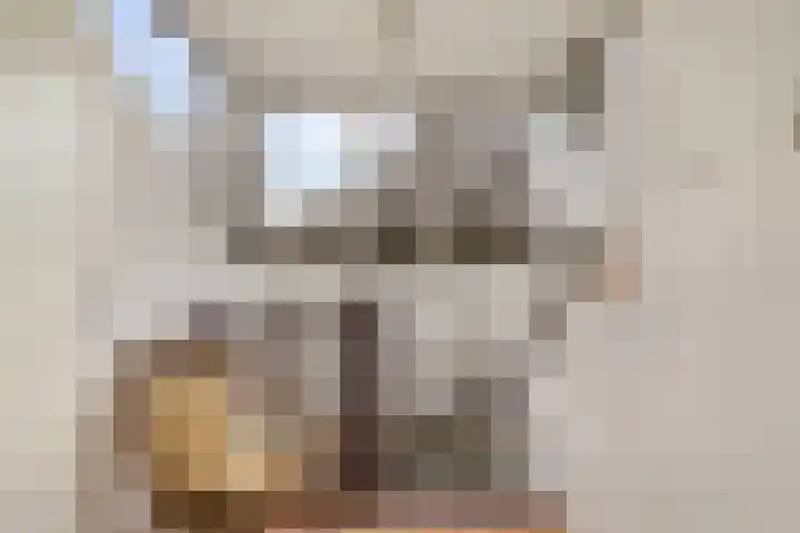 Charlotte Salomonlaan 1 Pijnacker thumbnail 17