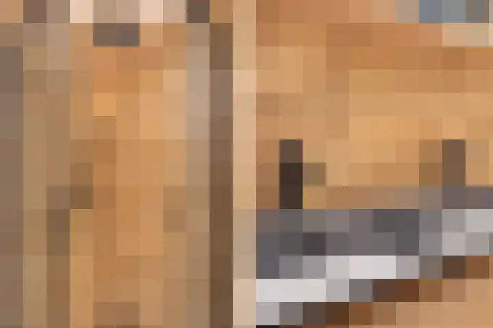 Charlotte Salomonlaan 1 Pijnacker thumbnail 21