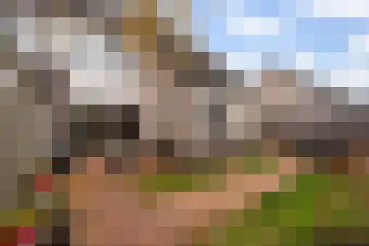 Charlotte Salomonlaan 1 Pijnacker thumbnail 22