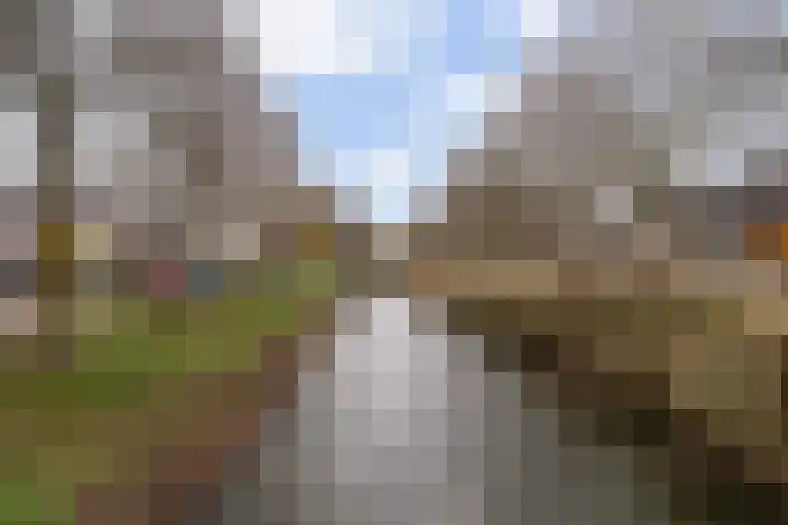 Charlotte Salomonlaan 1 Pijnacker thumbnail 26