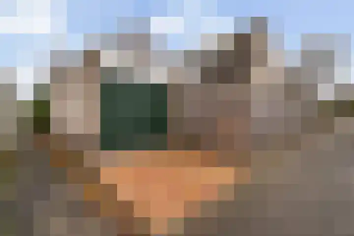 Charlotte Salomonlaan 1 Pijnacker thumbnail 4