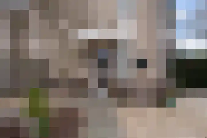 Charlotte Salomonlaan 1 Pijnacker thumbnail 6