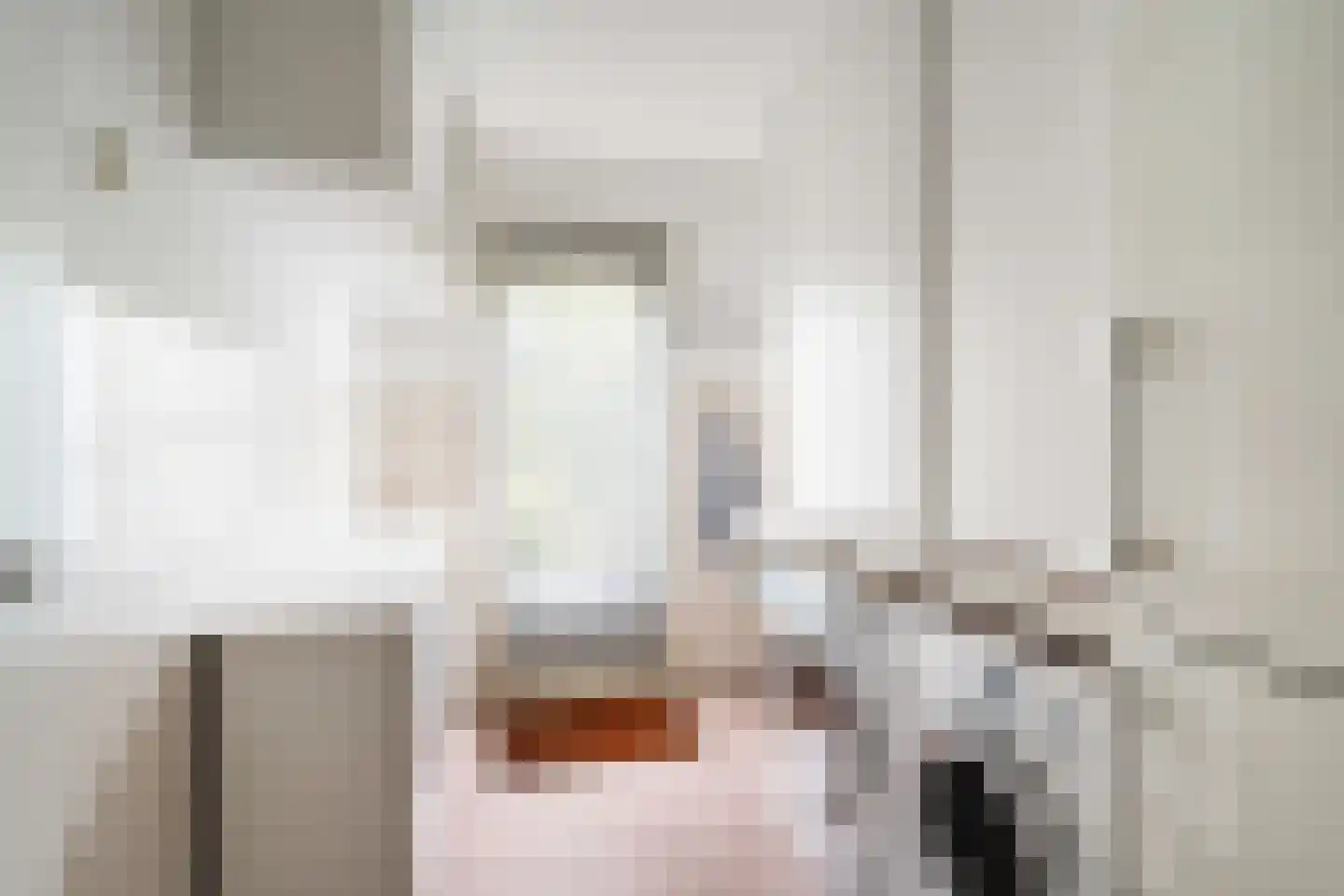 Charlotte Salomonlaan 18 Pijnacker thumbnail 14