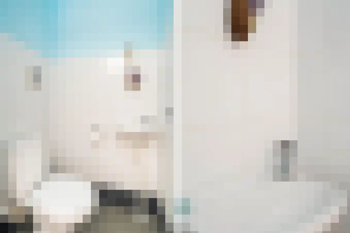 Charlotte Salomonlaan 18 Pijnacker thumbnail 18