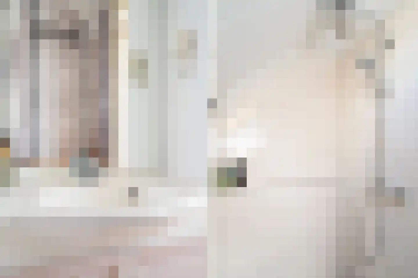 Charlotte Salomonlaan 18 Pijnacker thumbnail 26