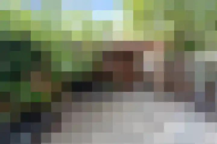 Charlotte van Bourbondreef 50 Utrecht thumbnail 18