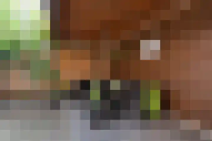 Charlotte van Bourbondreef 50 Utrecht thumbnail 19