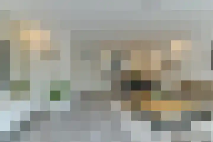 Charlotte van Bourbondreef 50 Utrecht thumbnail 9