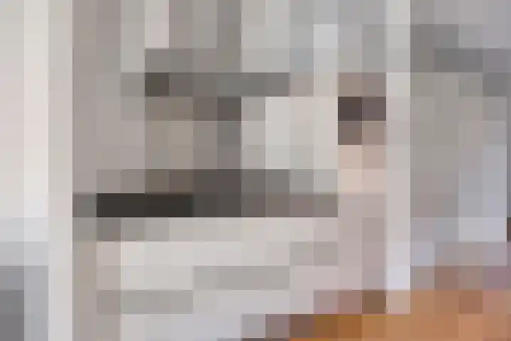 Charlotte van Bourbonhof 43 Eindhoven thumbnail 12