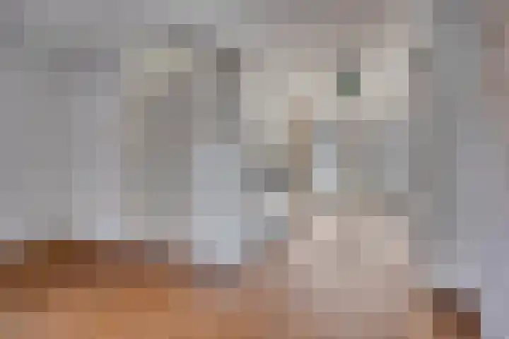 Charlotte van Bourbonhof 43 Eindhoven thumbnail 7
