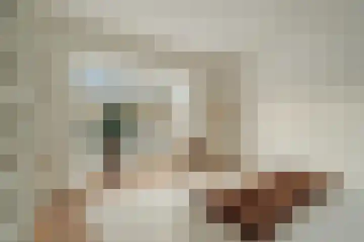 Charlotte van Montpensierlaan 22 Amstelveen thumbnail 32