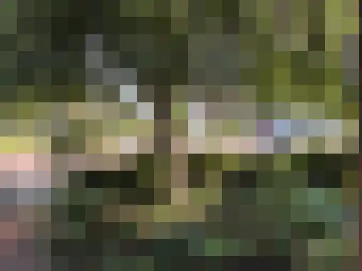 Charlotte van Montpensierlaan 69 Amstelveen thumbnail 26