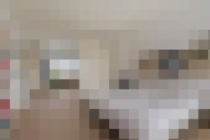 Charlotte van Montpensierlaan 69 Amstelveen thumbnail 33