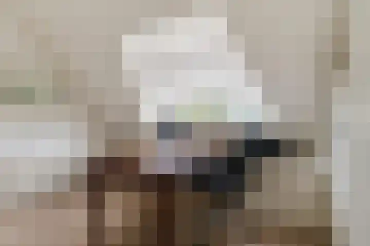Charlotte van Montpensierlaan 69 Amstelveen thumbnail 42