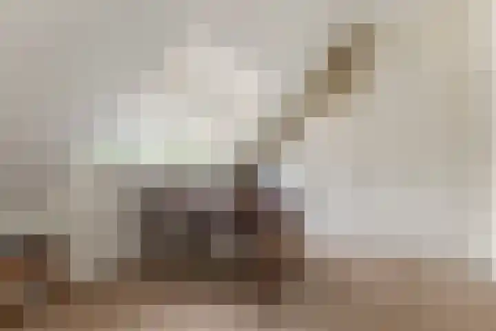 Charlotte van Montpensierlaan 69 Amstelveen thumbnail 43