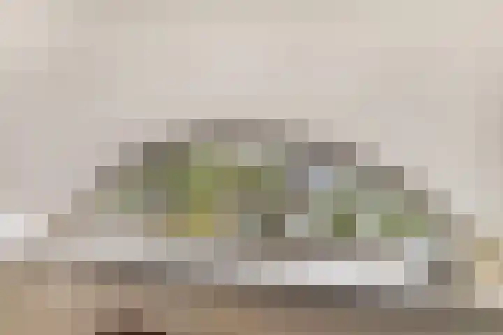 Charlotte van Montpensierlaan 69 Amstelveen thumbnail 44