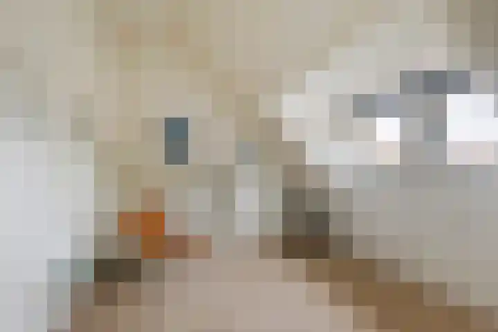Charlotte van Montpensierlaan 69 Amstelveen thumbnail 47